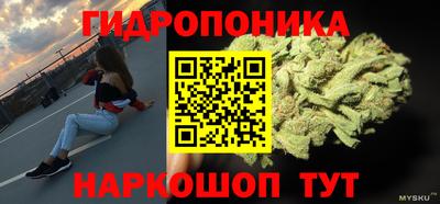 apvp Тулун