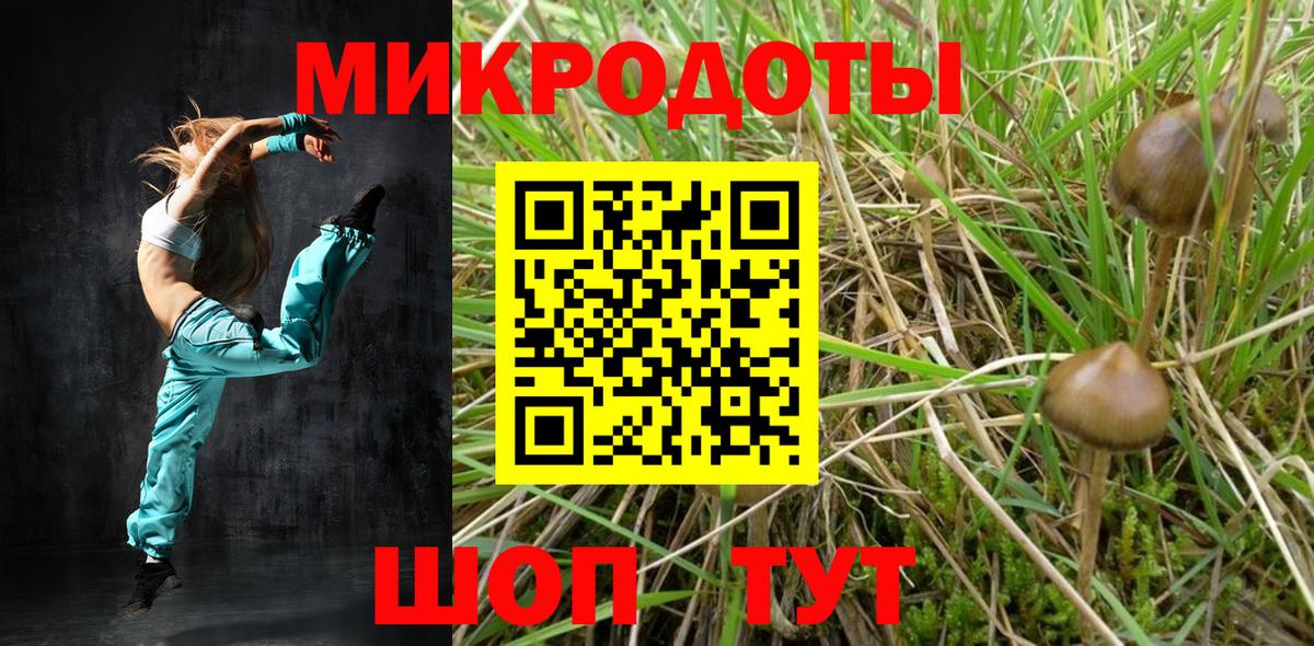 Мариинск  наркошоп  Галлюциногенные грибы Psilocybine cubensis  Вход с VPN  Галлюциногенные грибы MAGIC MUSHROOMS 