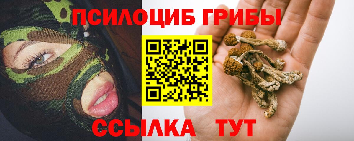 Псилоцибиновые грибы Psilocybine cubensis Мариинск
